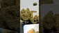 Video Thumbnail: Herb Gaming
