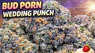 Wedding punch by Headstone bud porn