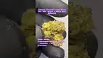 Aurora: Frozen Lemon Haze (A closer look & Terp breakdown)