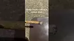Sumo Canada craft no.4 cement shoes burn