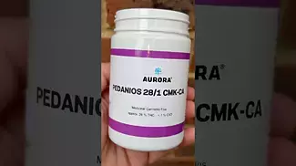 Chemango Kush Aurora Medical Cannabis