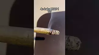 4c Labs T25 MAC 1 burn