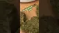 Video Thumbnail: EdTalks420
