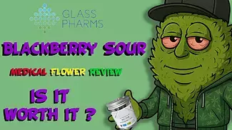 Glass Pharms | Blackberry Sour Medical Cannabis review #cannabiseducation   #cannabisreview   #legal