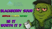 CheeseMon4 Video Thumbnail