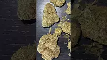 CheeseMon4 Video Thumbnail