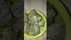 comparison with a normal bud