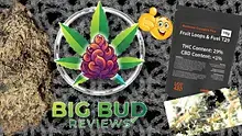 Big Bud Reviews Video Thumbnail