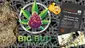 Video Thumbnail: Big Bud Reviews