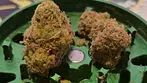 Upstate HKB T21 Huckleberry Medical CannabisHybrid  • 21% THC • 1% CBD