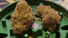 Keep Blazing Stay Amazing Video Thumbnail