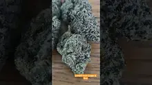 Vinnie's Lounge Video Thumbnail