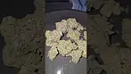 Rainbow Pie Cannfx UK Medical Flower First Impressions