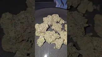Rainbow Pie Cannfx UK Medical Flower First Impressions