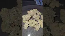 Eazypax420 Video Thumbnail