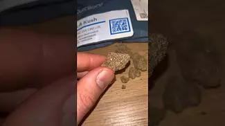 LA kush Cake UK Medical Cannabis By Curaleaf shorts ukmedical