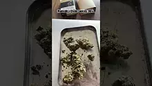 LoudConnoisseur Video Thumbnail