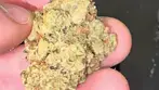 4C Labs Craft Select PCK T29 Pucker-Up Medical - Strain Reviews #34 