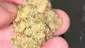 Video Thumbnail: BabyzBudz
