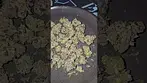 Blue Apples Roxton Air UK Medical Flower First Impressions