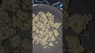 Blue Apples Roxton Air UK Medical Flower First Impressions