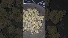 Eazypax420 Video Thumbnail