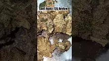 LoudConnoisseur Video Thumbnail
