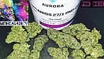 Pink Diesel by Aurora UK Medical Cannabis Review