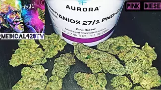 Pink Diesel by Aurora UK Medical Cannabis Review