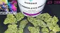 Video Thumbnail: Medical420TV