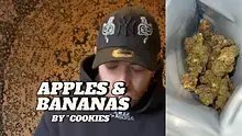 High Jack Video Thumbnail