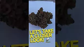 BC Green Scotti's Cake Medical Cannabis The flower