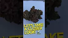 UK and Legal Video Thumbnail