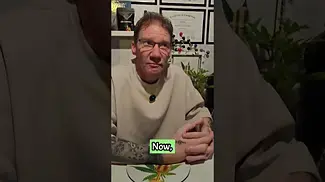 Brief review of High Society from Lot420/aaaa