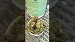 Green Karat Supreme Diesel  #ukmedicalcannabis #painrelief #medical #medicalcannabis