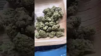 Legal medical high silver-curaleaf 21%thc 1%cbd #medicated #ukmedicine #mensmentalhealth #Curaleaf