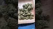  Sirspliffalot87 Video Thumbnail