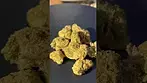 CannFX  Dosi Cake T28 Review in description 