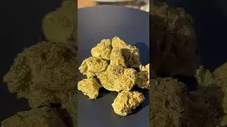 CannFX  Dosi Cake T28 Review in description 
