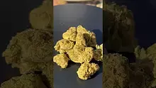 Smokey Mo Video Thumbnail