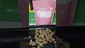 Video Thumbnail: PRIMACANN LLC THC 21% CBD  1% CANNABIS FLOWER 10G Liberation Lemon Cake £3.90 a gram