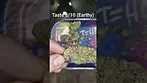 Green Karat - Supreme Diesel | UK Medical
