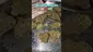 Video Thumbnail: 420Medical