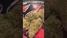 Smokey Mo Video Thumbnail