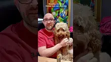 Doc Green Bud Video Thumbnail