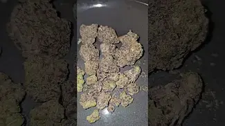CANNFX ZANGRIA UK MEDICAL FLOWER FIRST IMPRESSIONS