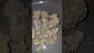 Video Thumbnail: Eazypax420