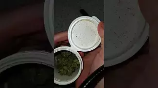 NEW MEDICAL CANNABIS PRESCRIPTION UK FROSTY LEMON ANGEL AND GELATO 33