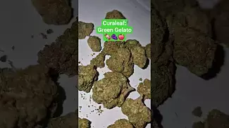 Curaleaf - Green Gelato (T23%)(UK Medical Cannabis Prescription)