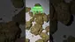 Video Thumbnail: ScottiDunCanna